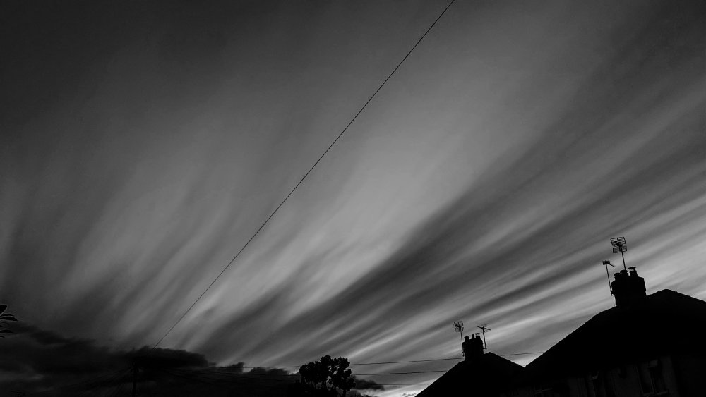 IMG_20230717_221119_edit_323853373307873.thumb.jpg.8b232a2ad479c5b84d98803724fc4483.jpg