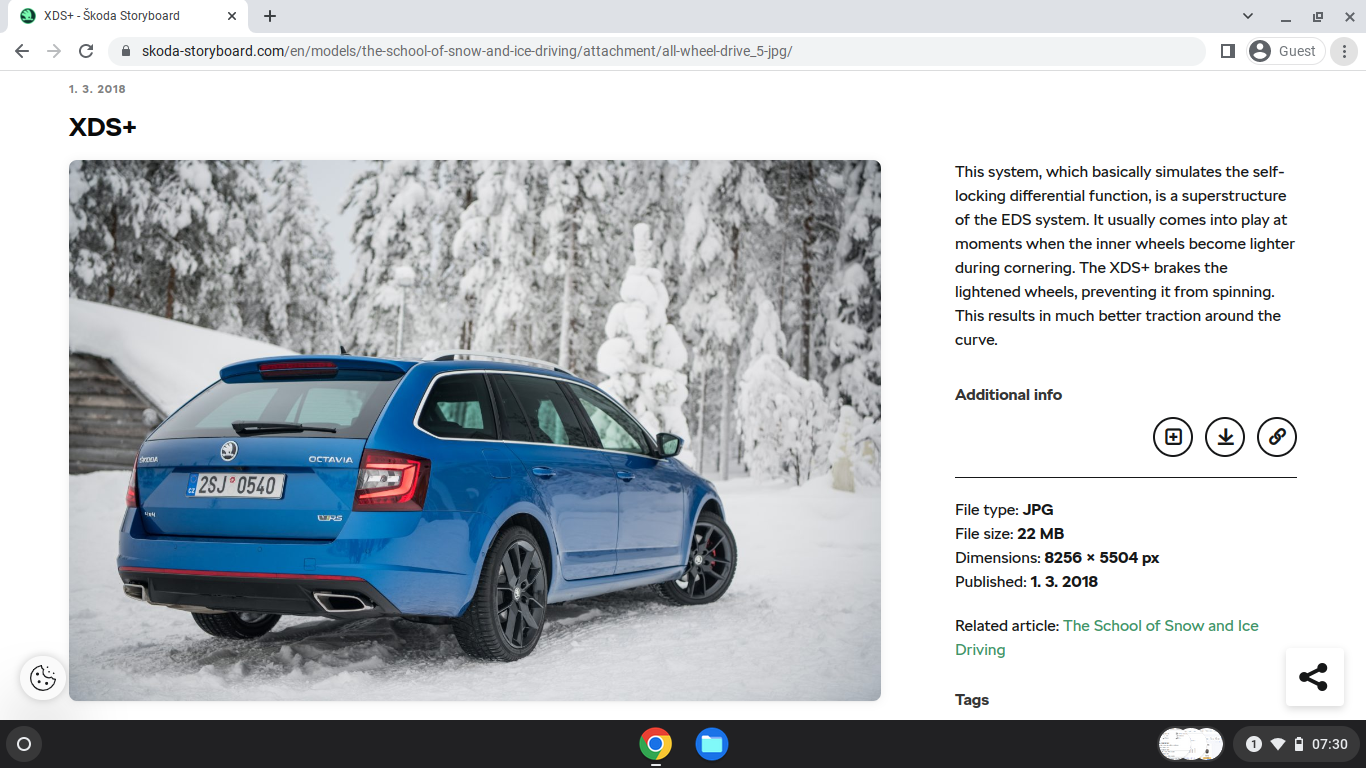 Do the vRS TDI models (facelift and before) have a limited slip differential?