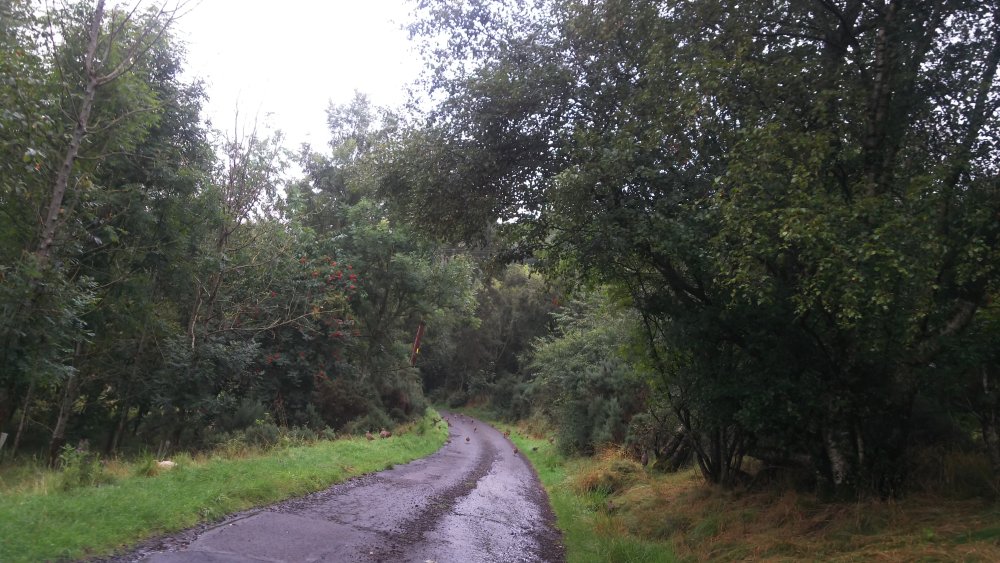 DSCN3306.JPG