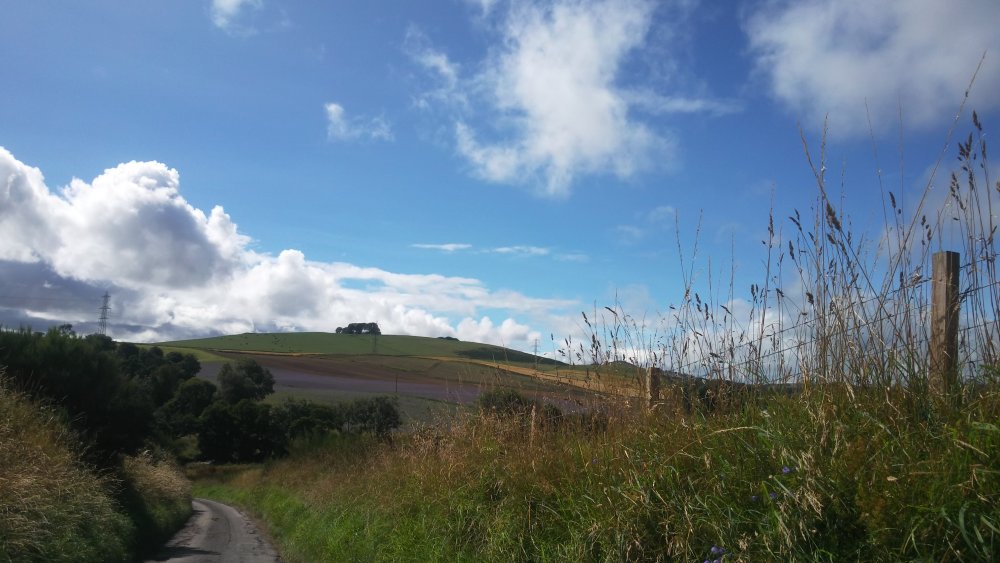 DSCN3335.JPG