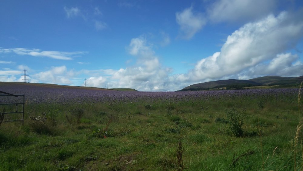 DSCN3344.JPG
