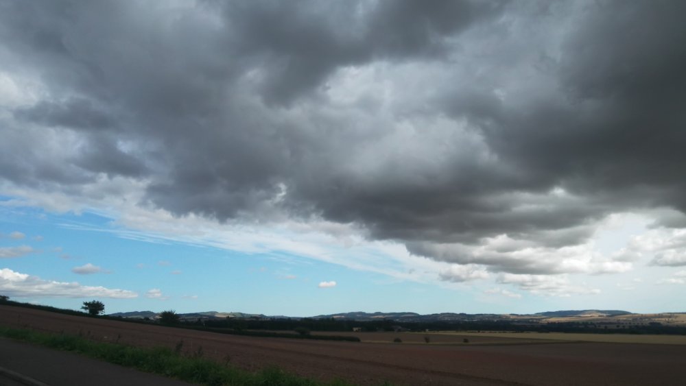 DSCN3503.JPG