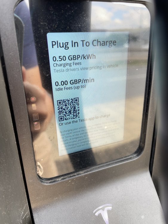 IMG_4852.jpeg