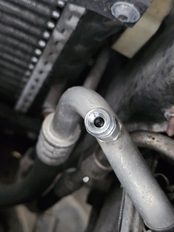 low with intact seal.jpg
