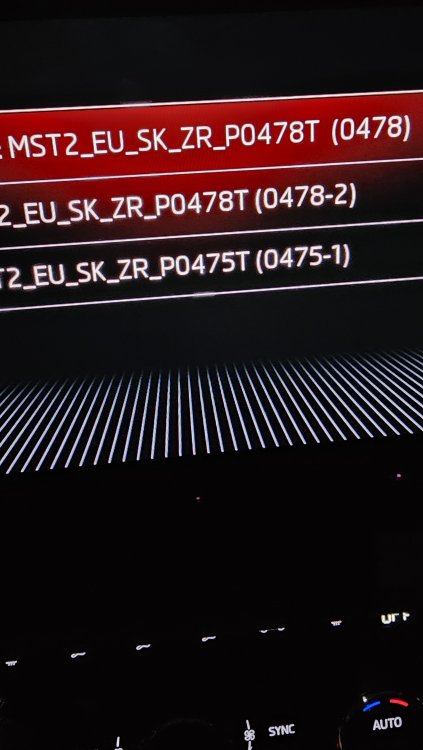 16956812823433392505325482121157.jpg