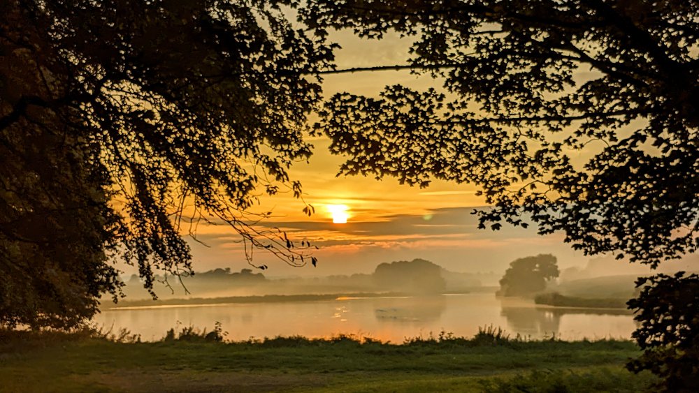 478865559_PXL_20230910_180730593.NIGHT_edit_3208580389229142.thumb.jpg.99e9cbc560f75a40ee4b6b628886caae.jpg