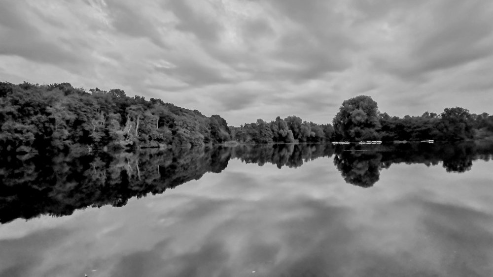 555826117_IMG_20230915_193916_edit_2668227723827222.thumb.jpg.6c1c0d51426014d52eb75f7208d14890.jpg