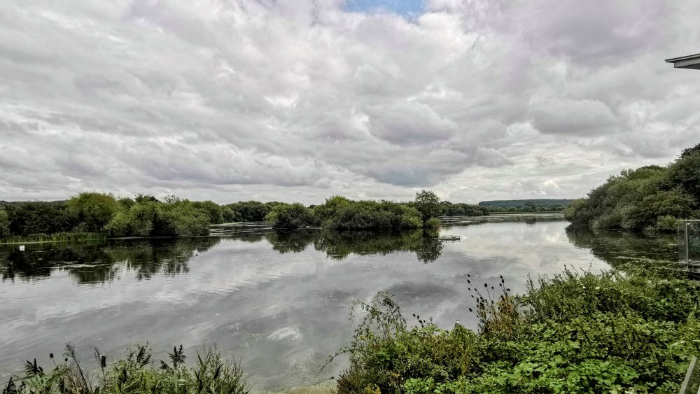 968518711_IMG_20230901_163718_edit_3194276021903202.thumb.jpg.d81875fe8cc6956394052e8b0f427bd5.jpg