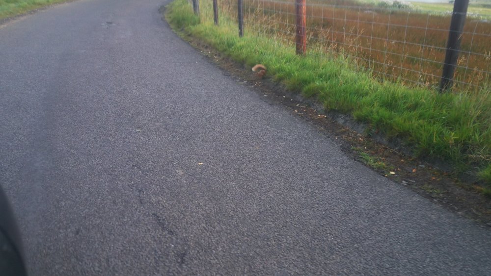 DSCN3594.JPG