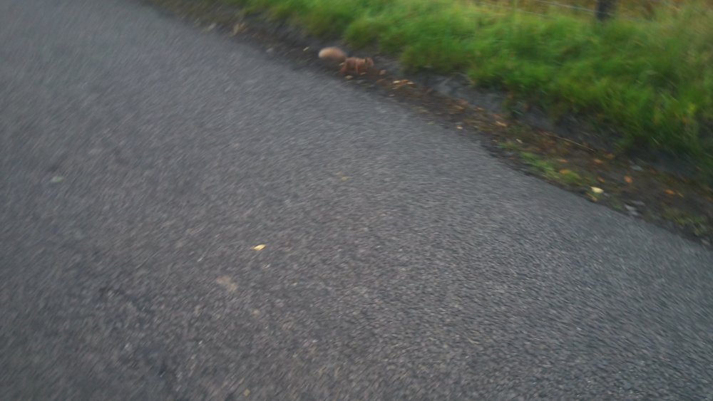 DSCN3595.JPG