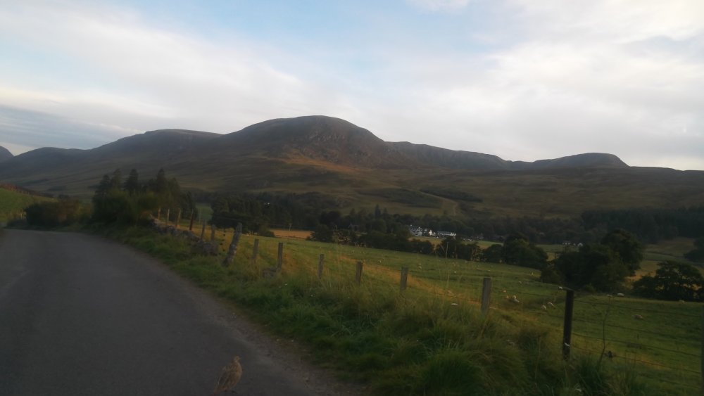 DSCN3617.JPG
