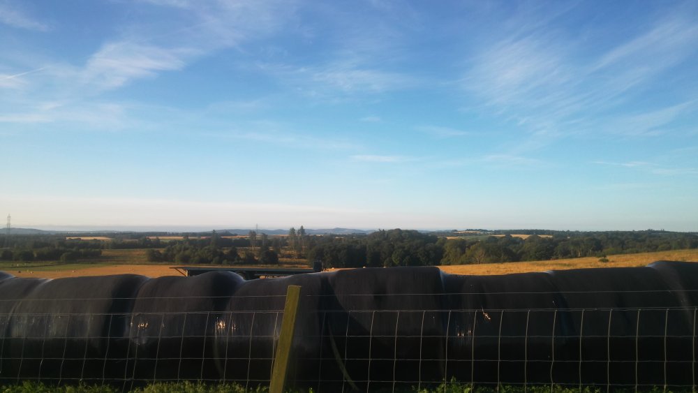 DSCN3646.JPG