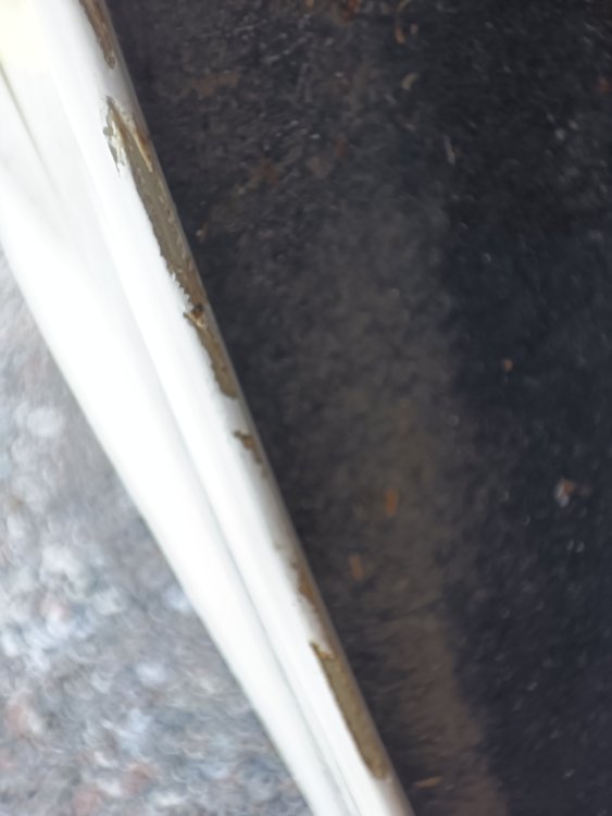 Wheel arch paint damage Styling and Car Care BRISKODA