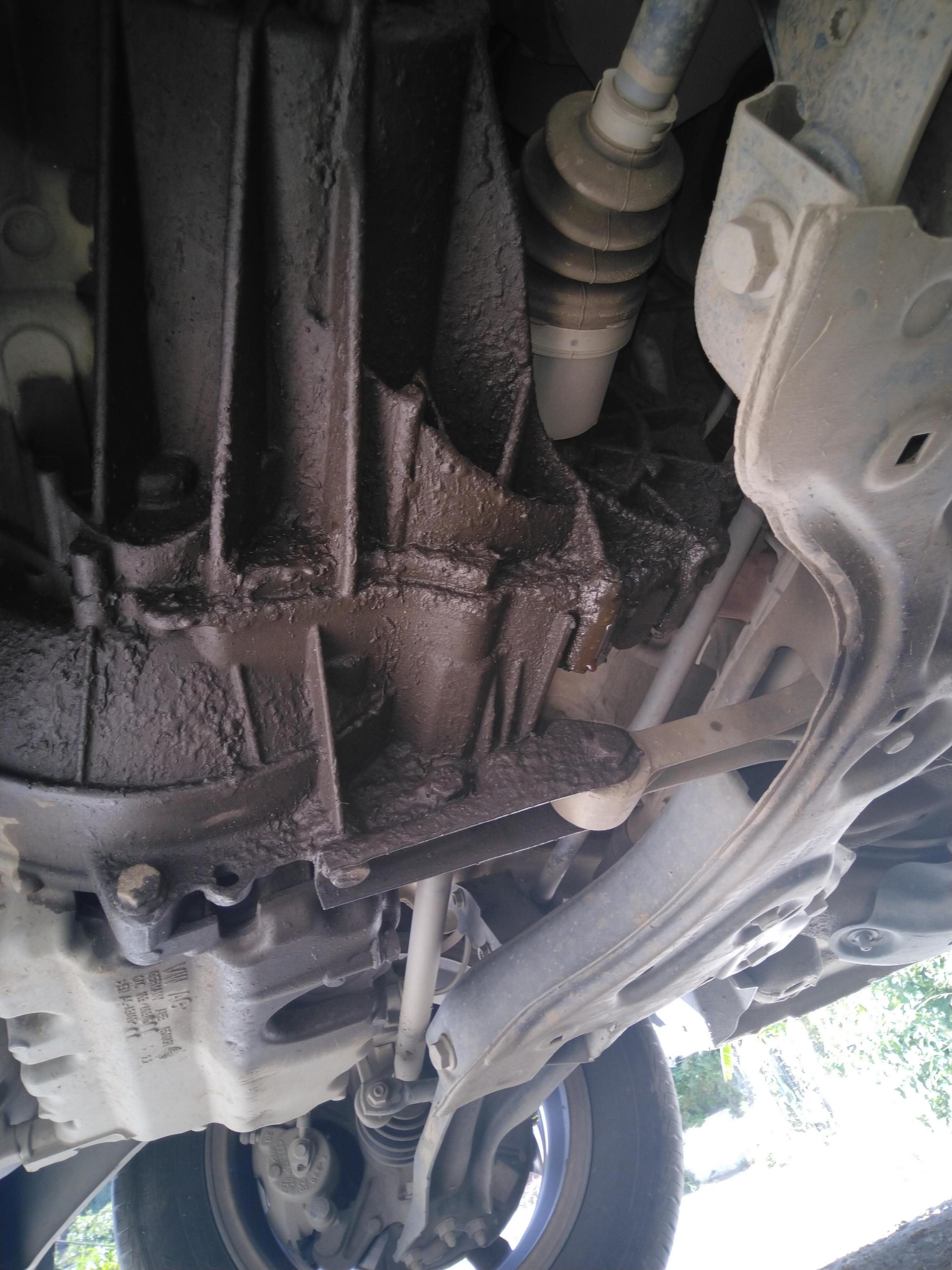 Where is the oil leak coming from?