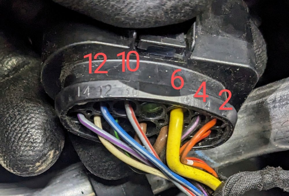 1467069943_PXL_20231020_1026483802.thumb.jpg.b2691a988d5da1f8e31d452be713c134.jpg