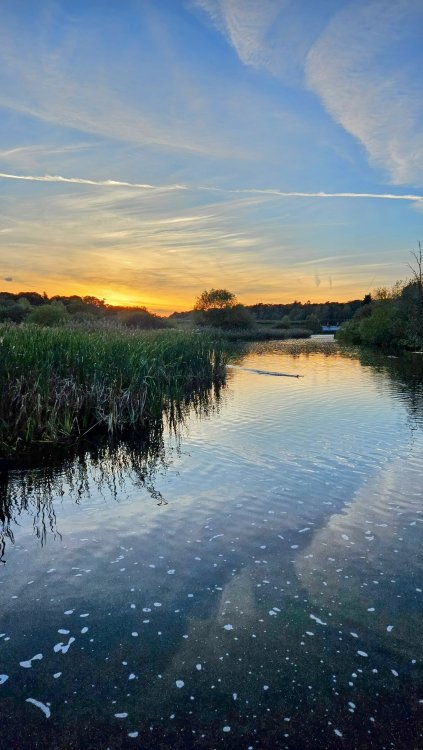20231015_180052~2.jpg