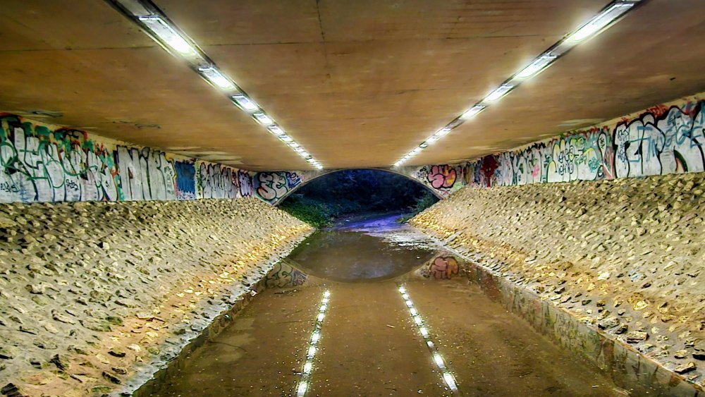 400728758_20231026_1804402.thumb.jpg.d53439029f7b1f782e96575ff70e5ef4.jpg