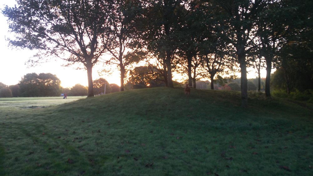 DSCN3995.JPG