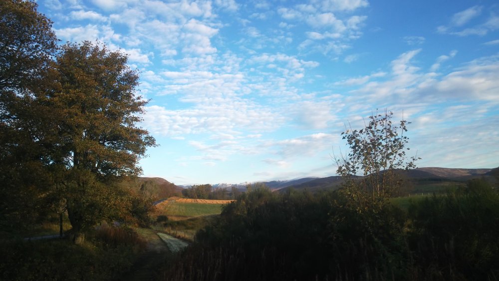 DSCN4233.JPG
