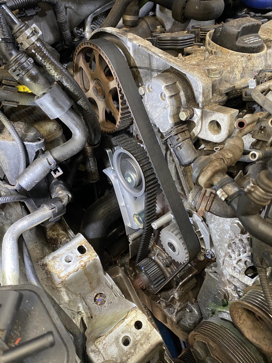 MK1 Octavia VRS timing belt and maintenance queries Skoda Octavia Mk