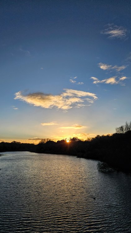 20231115_154525.thumb.jpg.e688fea85a4f666625e58a41f97aaa58.jpg