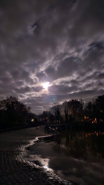 20231128_183702.thumb.jpg.895eadbf7d2abd5c9e06323c9234ffdc.jpg