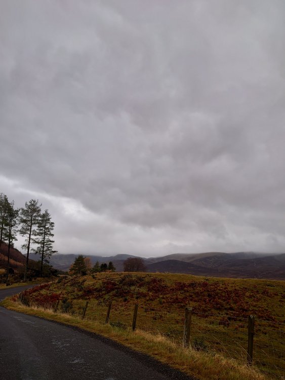 DSC_0146.JPG