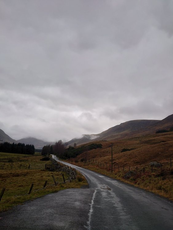 DSC_0149.JPG
