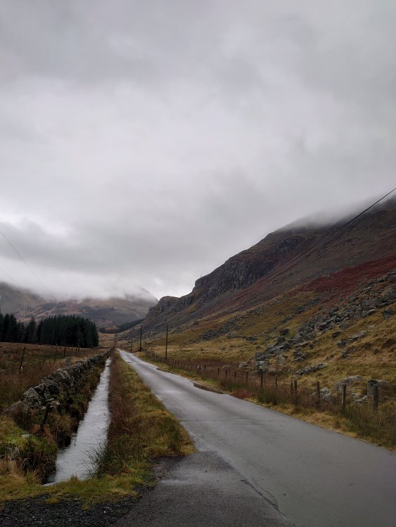 DSC_0155.JPG