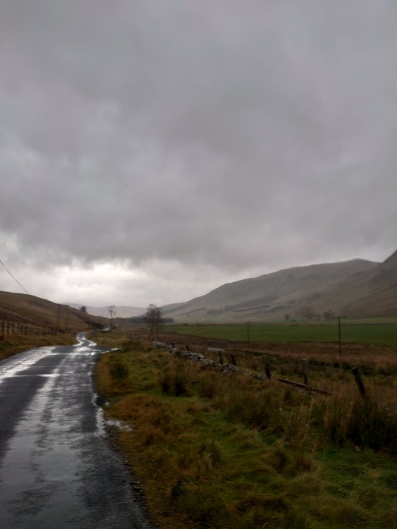 DSC_0168.JPG