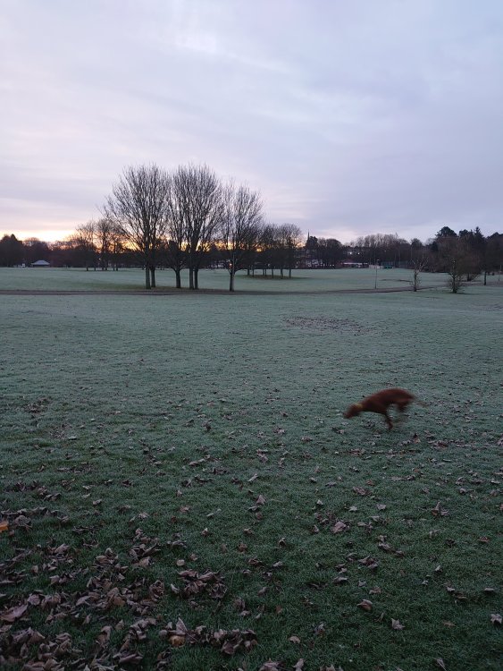 DSC_0263.JPG