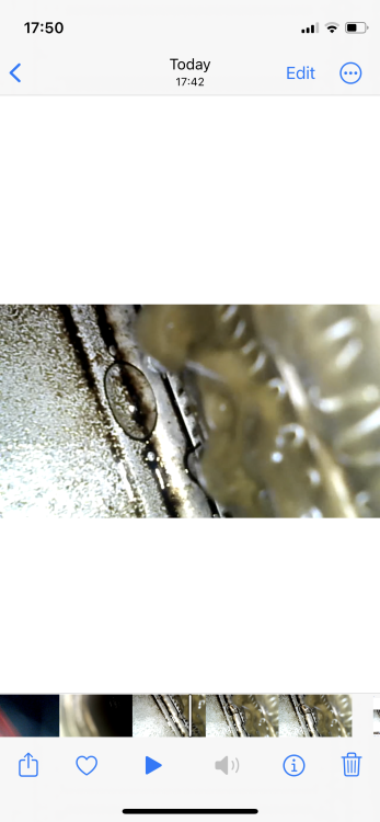 IMG_8118.png
