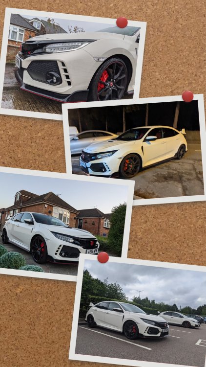 PXL_20210116_105059179-COLLAGE.jpg