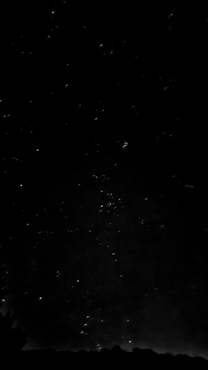 816345000_20231211_1945302.thumb.jpg.2525937cdaf67d5241a02a108406bf28.jpg