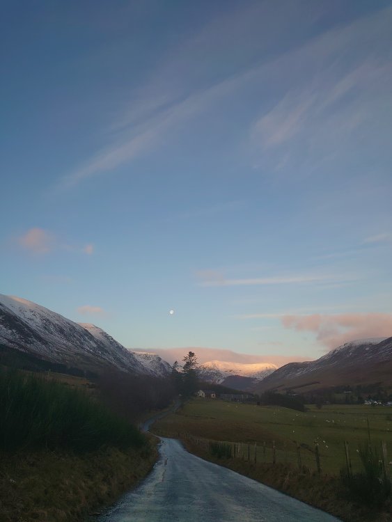 DSC_0468.JPG