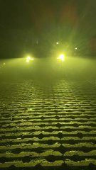IMG_6902.jpeg