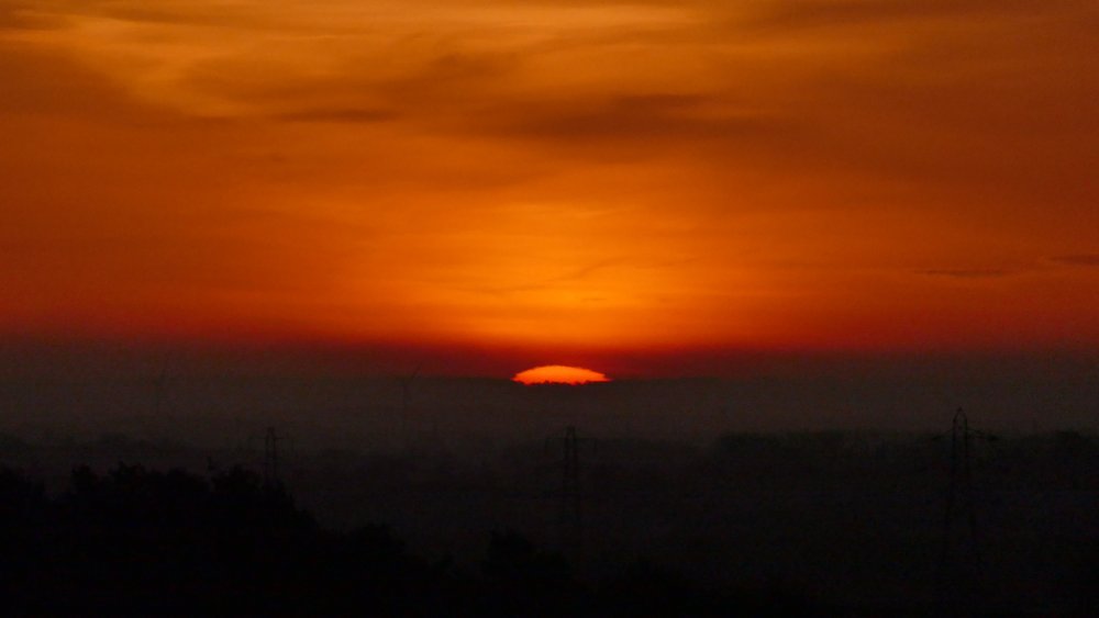 1310404.thumb.jpg.5f1ead91454dc003316ad51c76acf05e.jpg