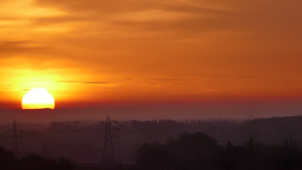 1310420.thumb.jpg.90c23eb3b79b6c2b9dfc9340e42e81b2.jpg