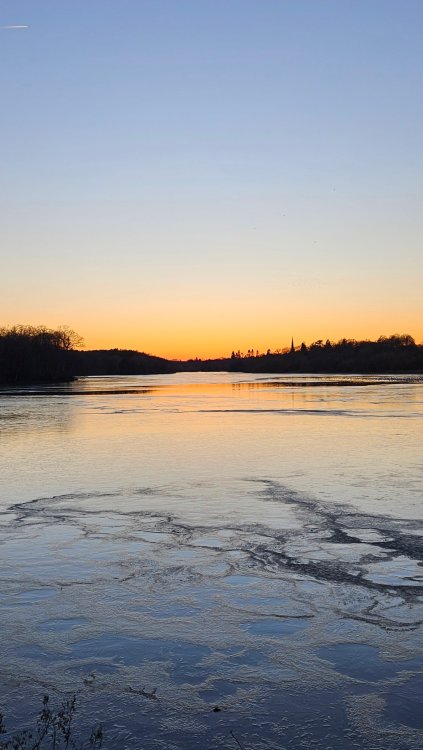 20240118_162013.thumb.jpg.e7d56a5eaf8d6285b62166763ab51050.jpg