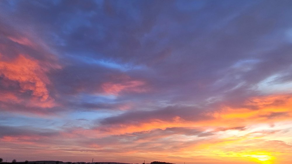 20240128_075041.thumb.jpg.6fd21f4c2d3395d437e2f219408354ce.jpg