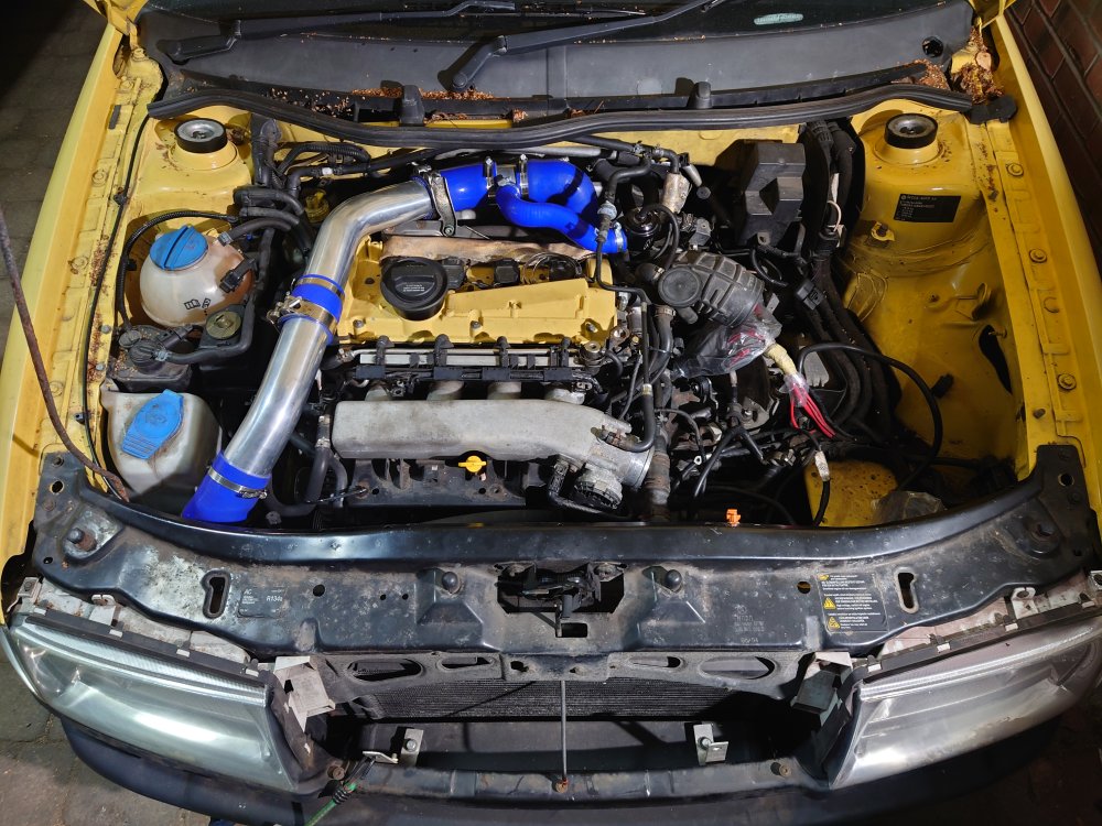 DSC_0344.JPG