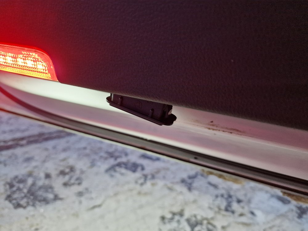 Door_Logo_Projector_Left_240105_50p.thumb.jpg.33515a1686a9e5eae9539cea7062f691.jpg