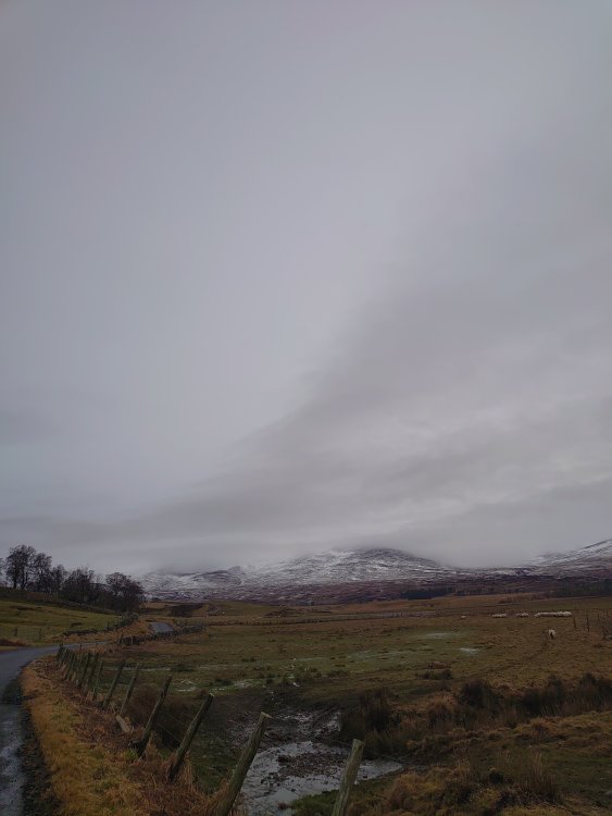 DSC_0697.JPG