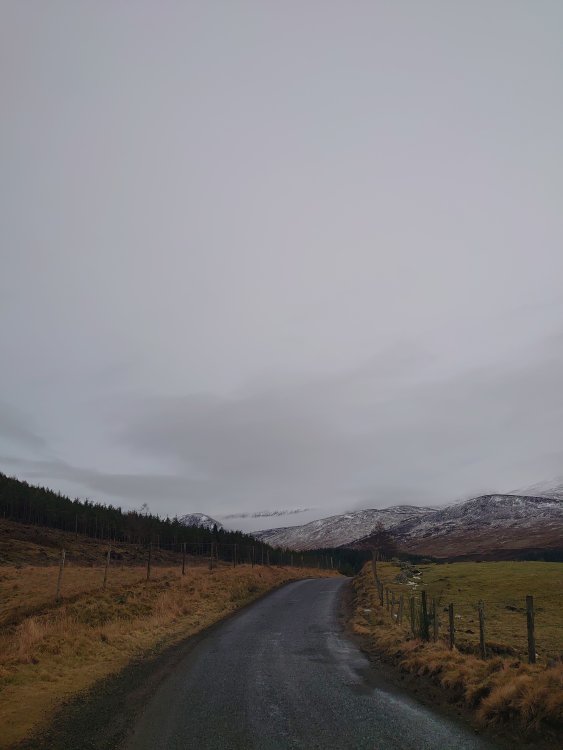 DSC_0703.JPG
