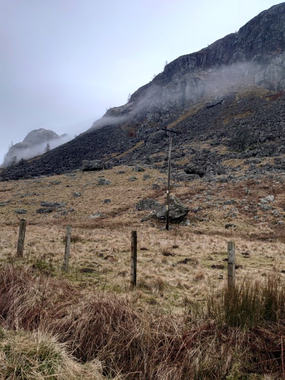 DSC_0708.JPG