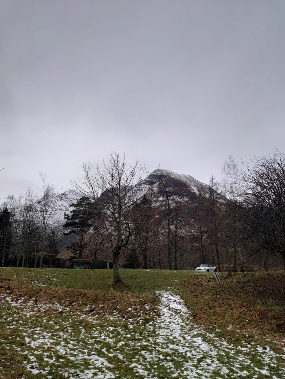 DSC_0726.JPG