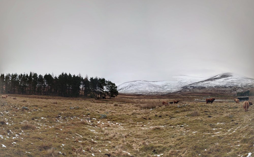 DSC_0732-PANO.jpg