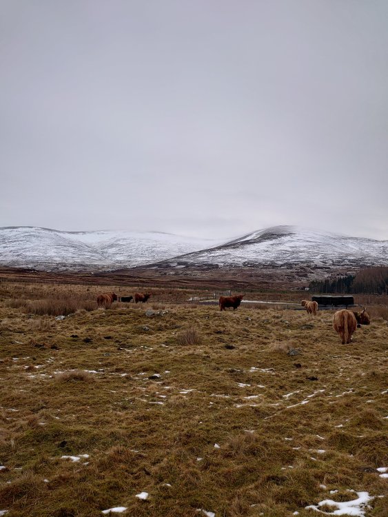 DSC_0734.JPG