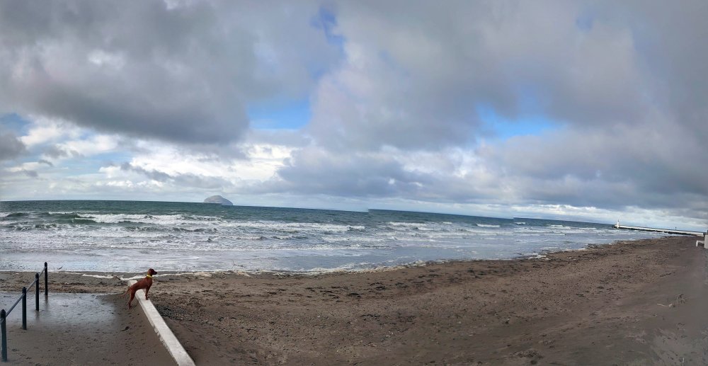 DSC_0829-PANO.jpg