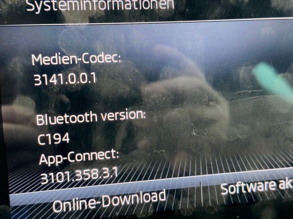 Skoda2.jpg